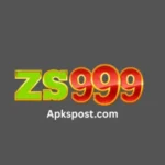 zs 999 game logo