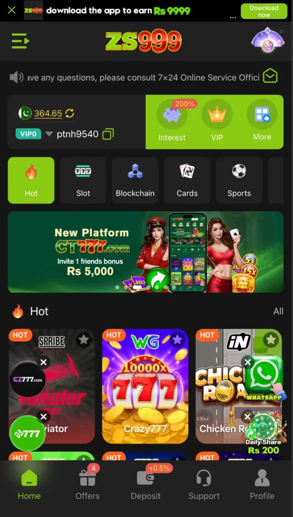 zs999 game interface